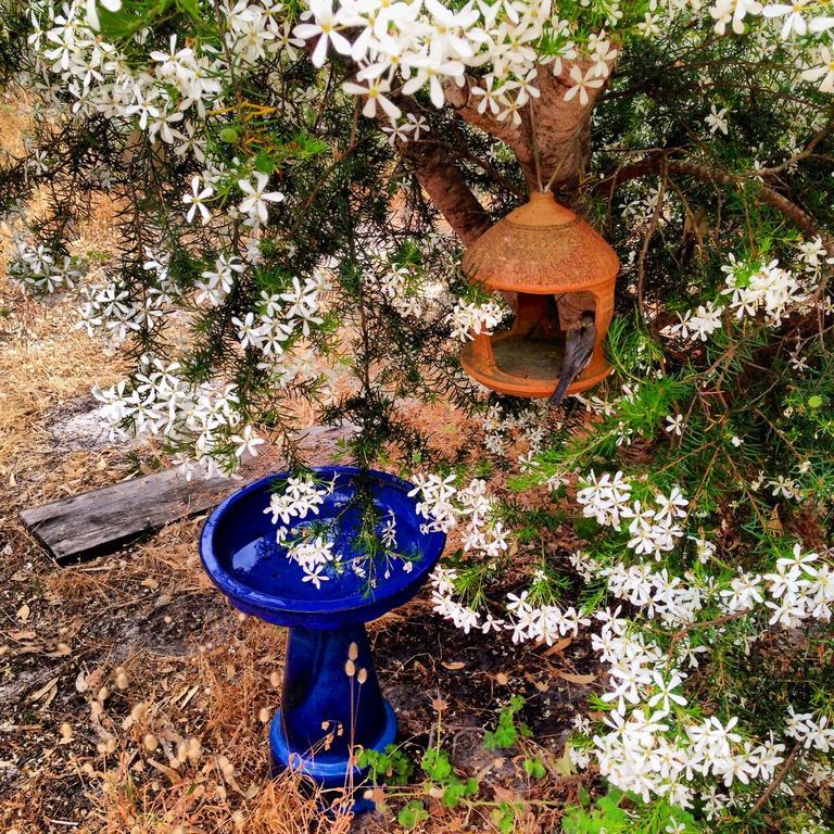 Bed and Breakfast Wilderness House Margaret River Zimmer foto
